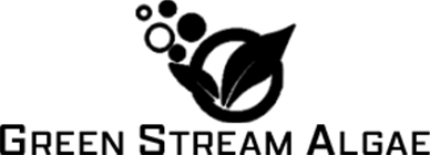 gsa-footer
